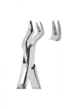 Extracting Forceps